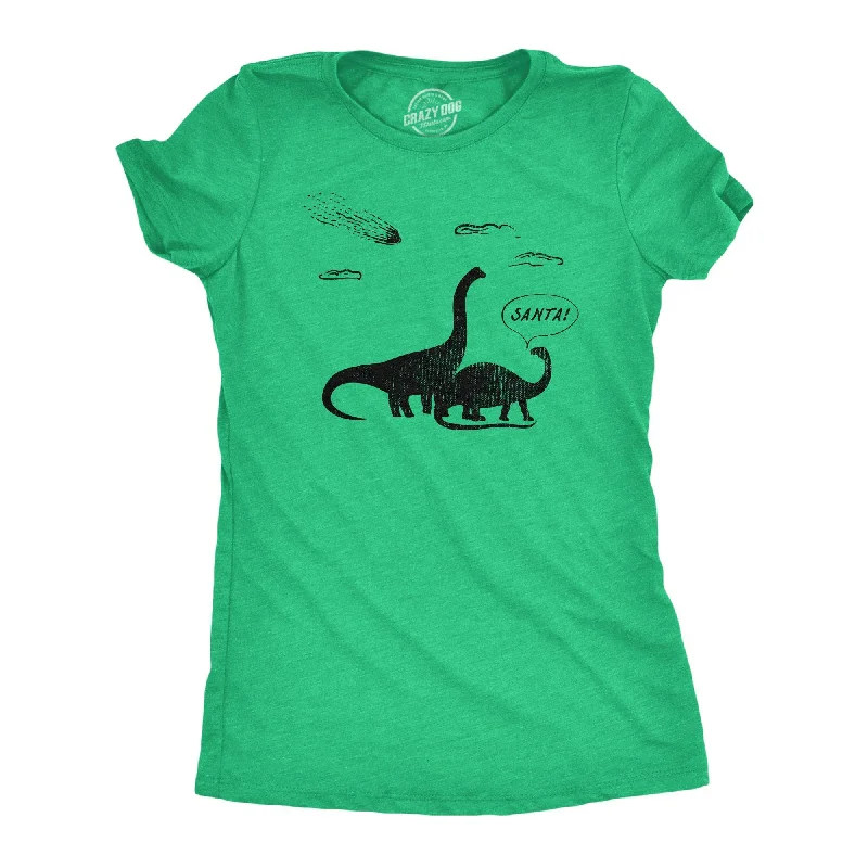 Striped Women T Shirt in a Classic PatternSanta Dinosaurs Women's T Shirt